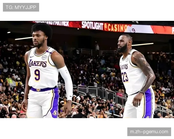 詹姆斯砍下三双率队轻取独行侠 浓眉内线统治稳住湖人局势